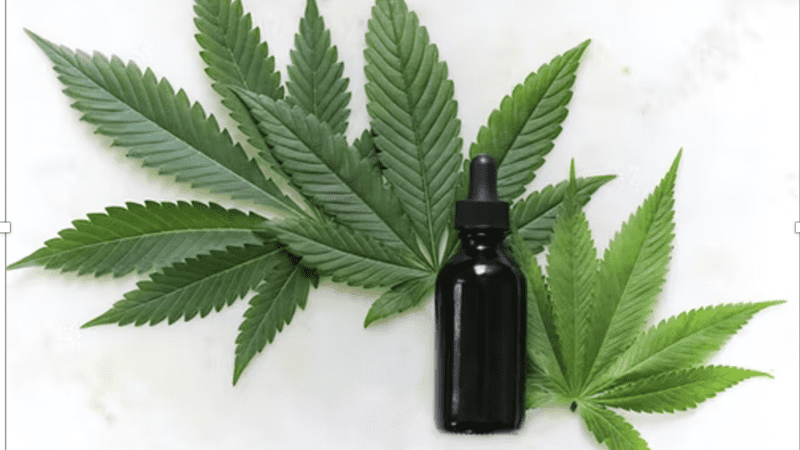 Does CBD oil work for Migraine?